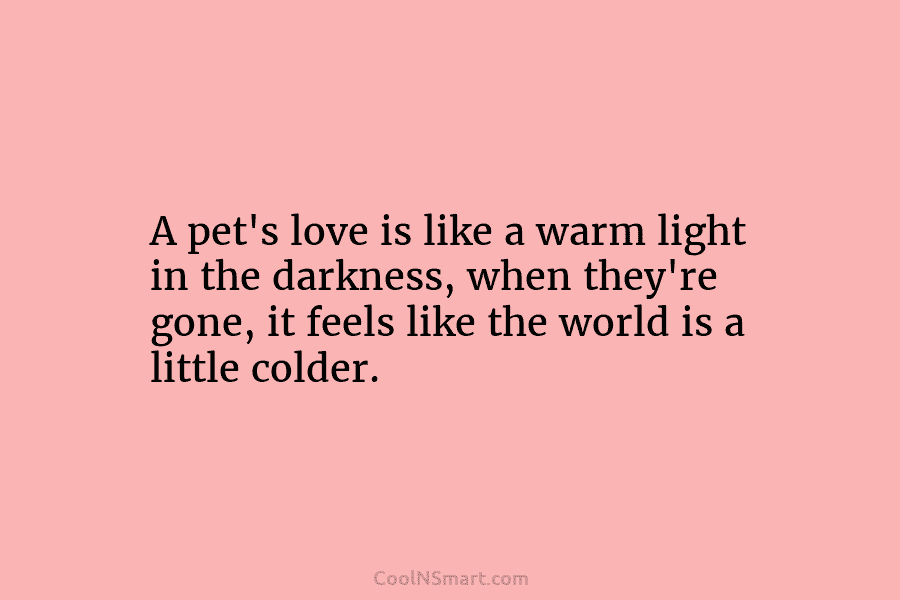 A pet’s love is like a warm light in the darkness, when they’re gone, it...