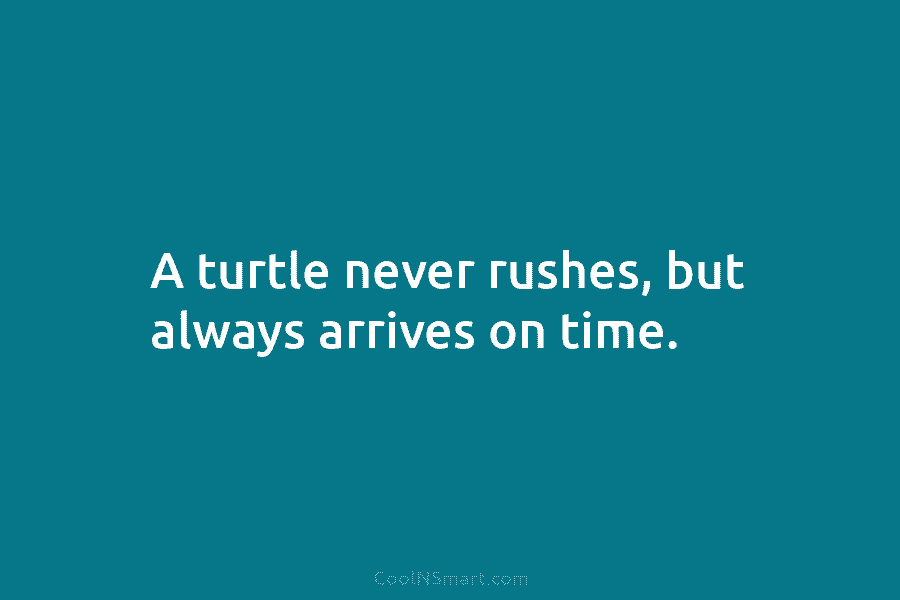 A turtle never rushes, but always arrives on time.