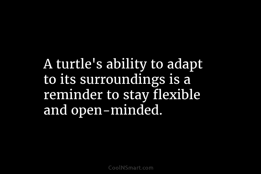 A turtle’s ability to adapt to its surroundings is a reminder to stay flexible and...