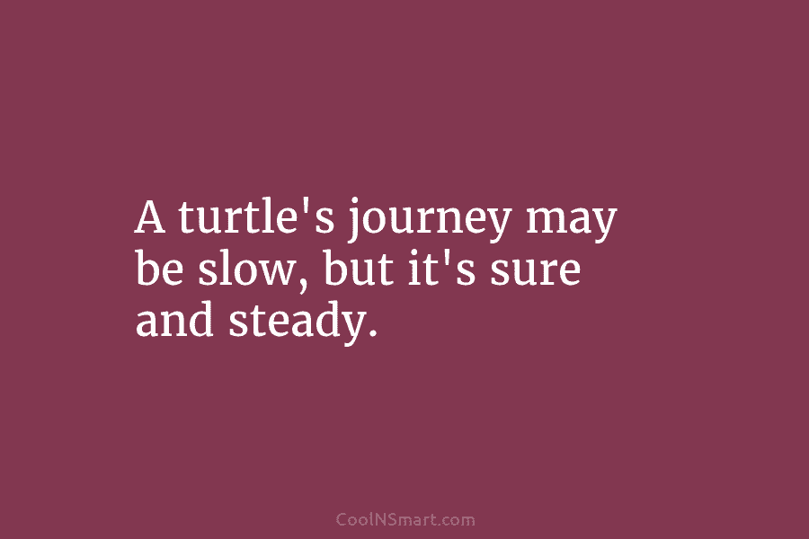 A turtle’s journey may be slow, but it’s sure and steady.