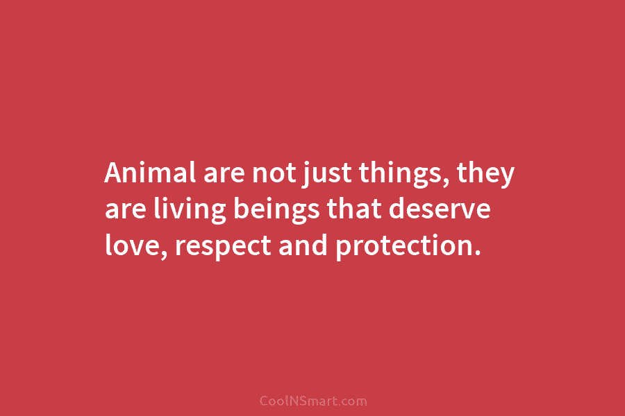 Animal are not just things, they are living beings that deserve love, respect and protection.