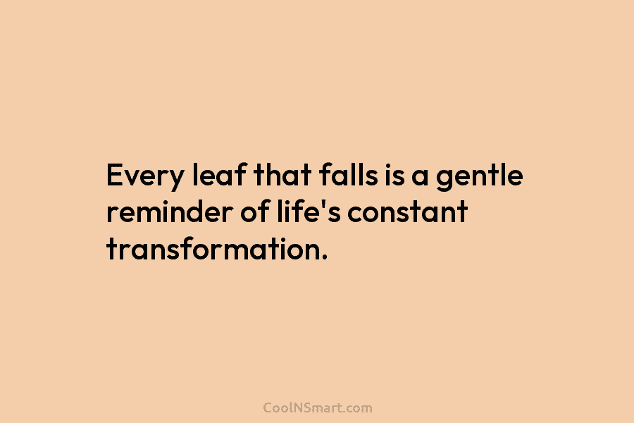 Every leaf that falls is a gentle reminder of life’s constant transformation.