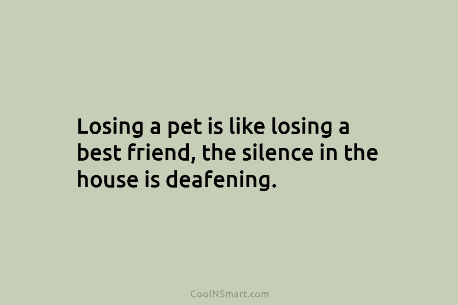 Losing a pet is like losing a best friend, the silence in the house is deafening.
