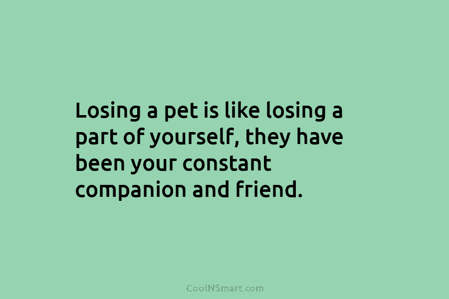 Losing a pet is like losing a part of yourself, they have been your constant companion and friend.