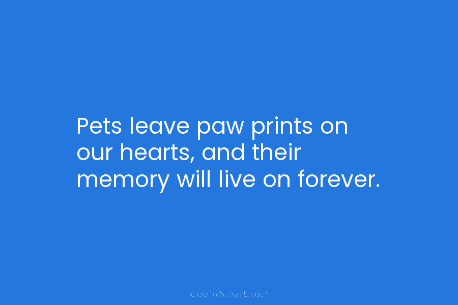 Pets leave paw prints on our hearts, and their memory will live on forever.