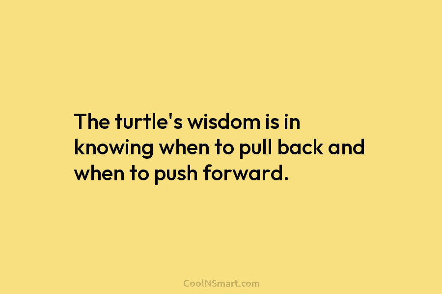 The turtle’s wisdom is in knowing when to pull back and when to push forward.