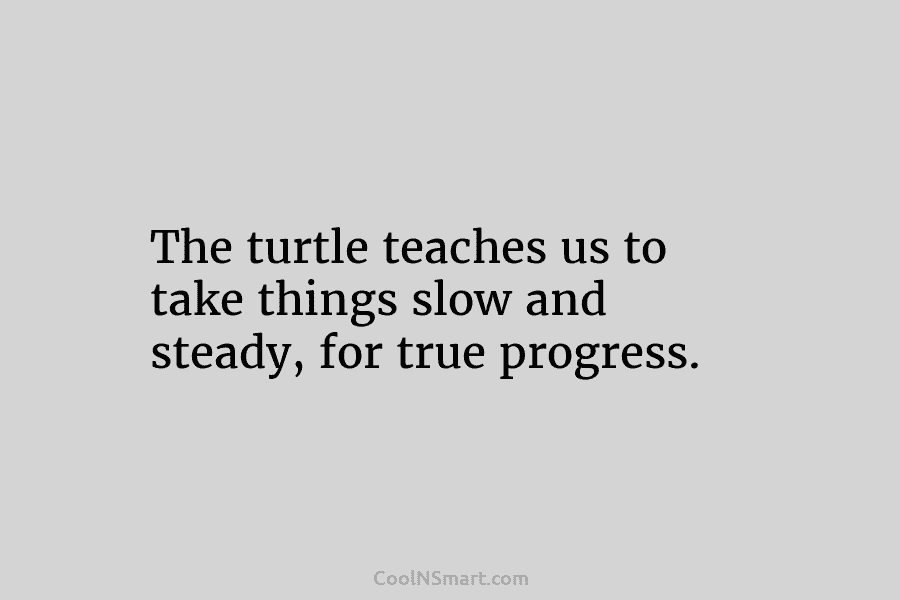 The turtle teaches us to take things slow and steady, for true progress.