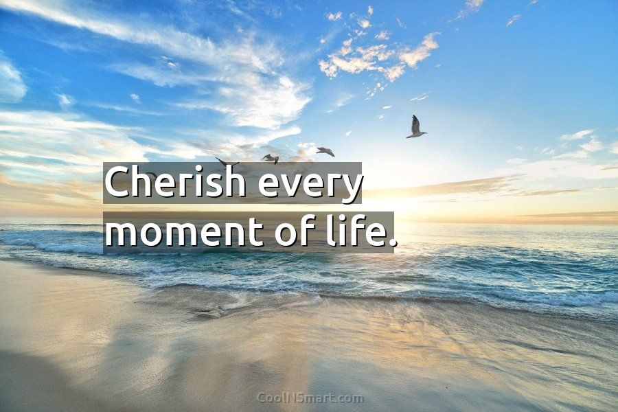 Quote Cherish Every Moment Of Life Coolnsmart