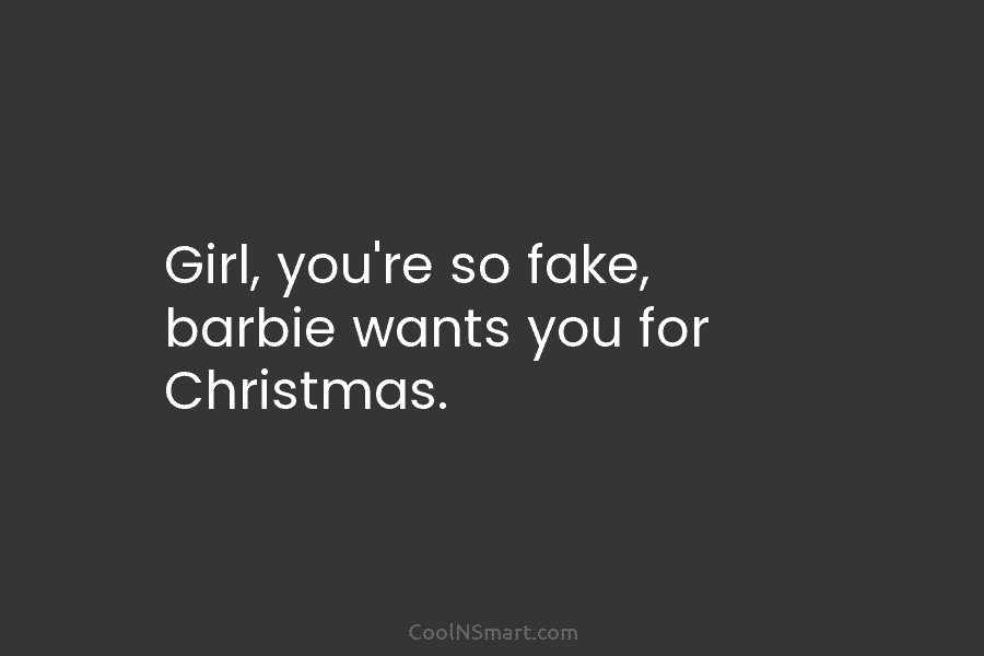Girl, you’re so fake, barbie wants you for Christmas.