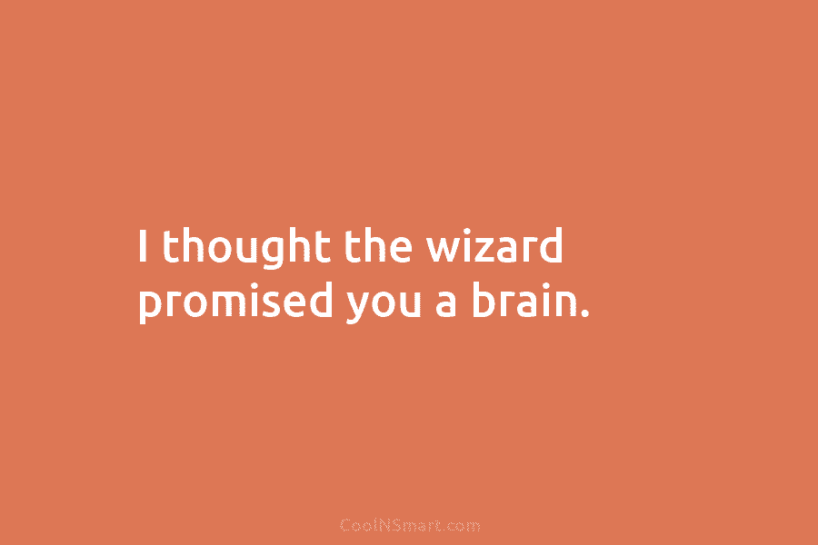 I thought the wizard promised you a brain.