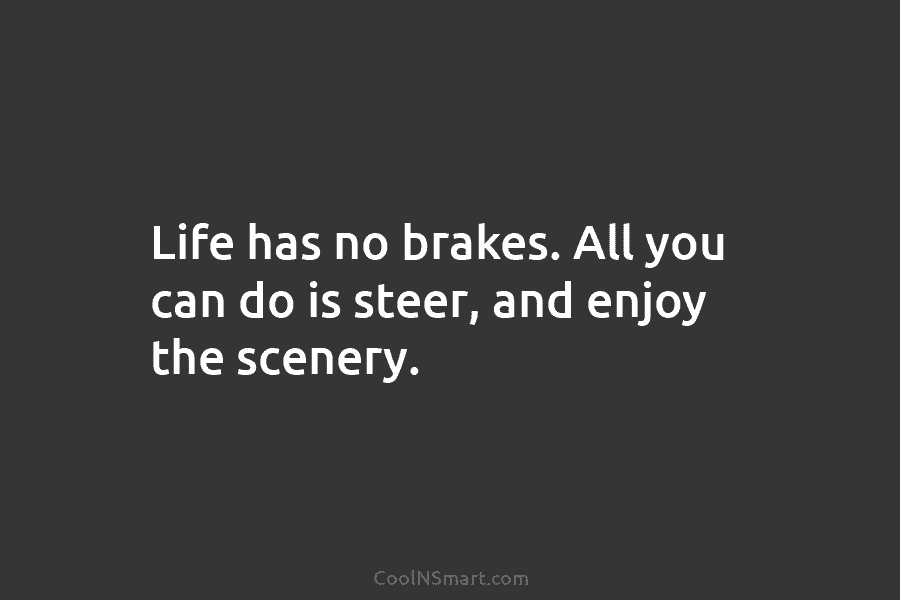 Life has no brakes. All you can do is steer, and enjoy the scenery.