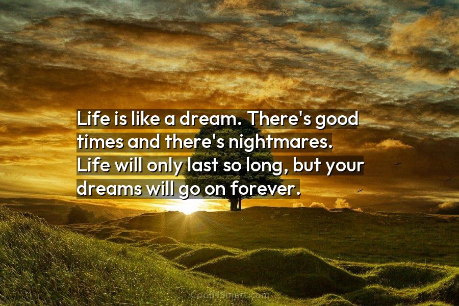 Quote: Life is like a dream. There’s good... - CoolNSmart