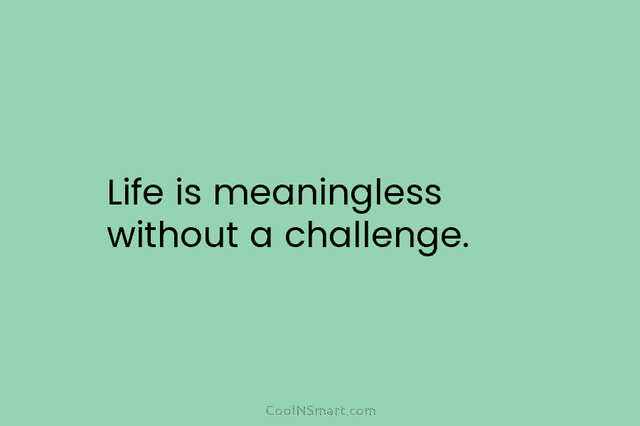 Life is meaningless without a challenge.