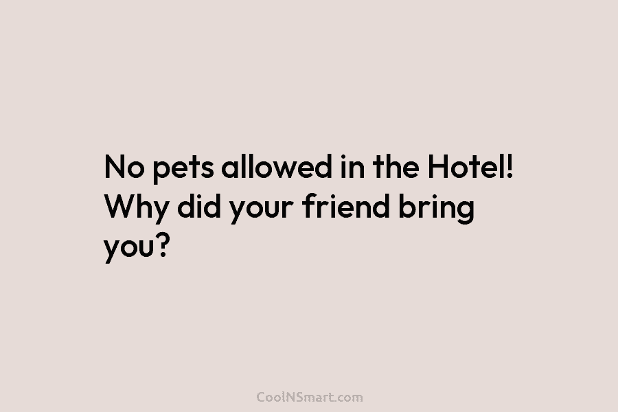 No pets allowed in the Hotel! Why did your friend bring you?