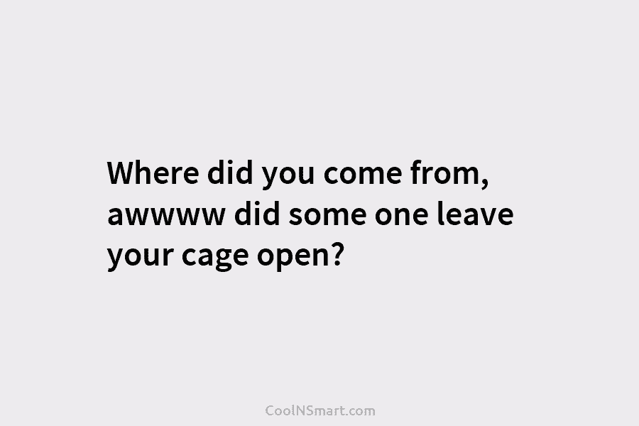 Where did you come from, awwww did some one leave your cage open?