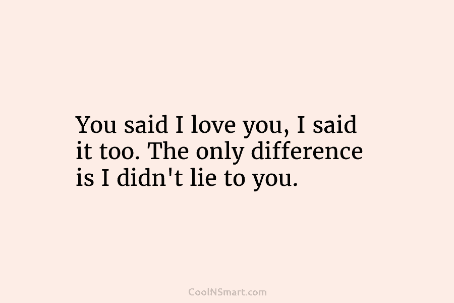 You said I love you, I said it too. The only difference is I didn’t lie to you.