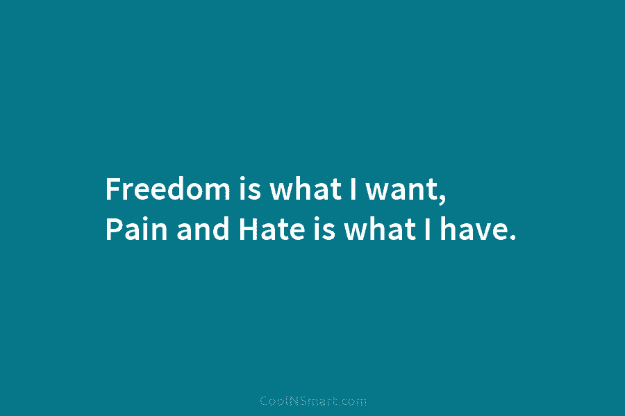 Freedom is what I want, Pain and Hate is what I have.