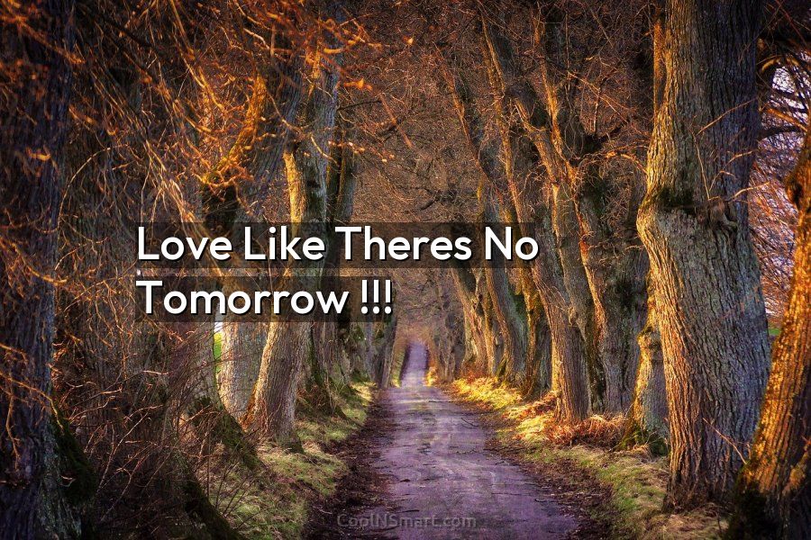 Live Like Theres No Tomorrow Wallpaper  Quotes HD Wallpapers   HDwallpapersnet