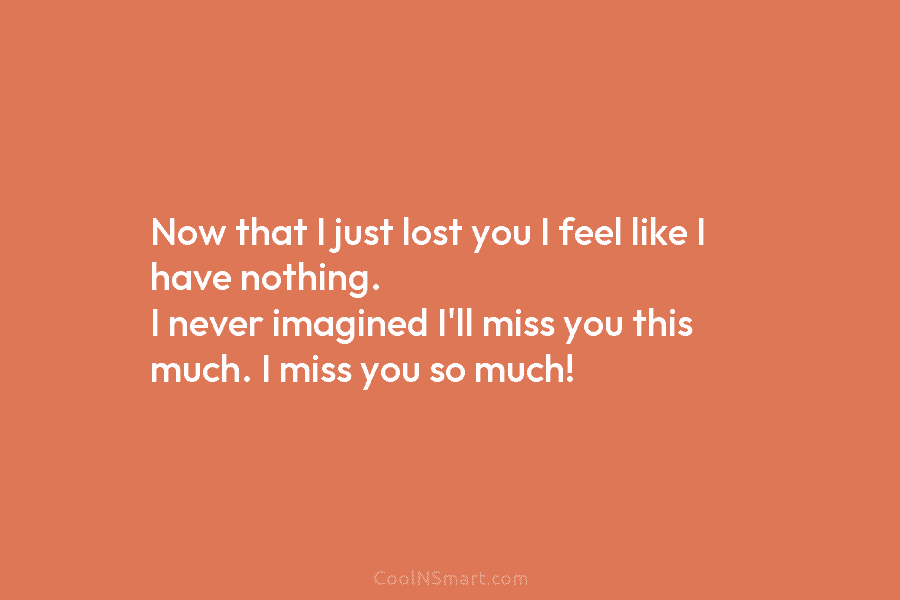 Now that I just lost you I feel like I have nothing. I never imagined...