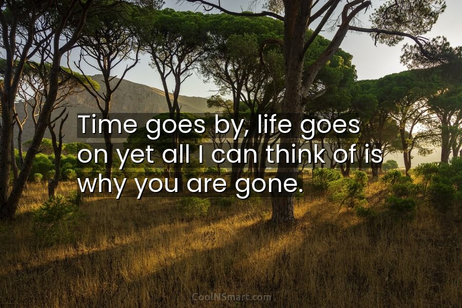 Quote: Time goes by, life goes on yet all I can think of... - CoolNSmart