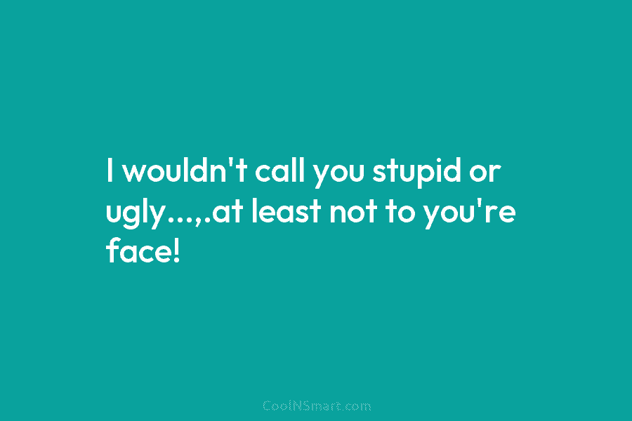 I wouldn’t call you stupid or ugly…,.at least not to you’re face!