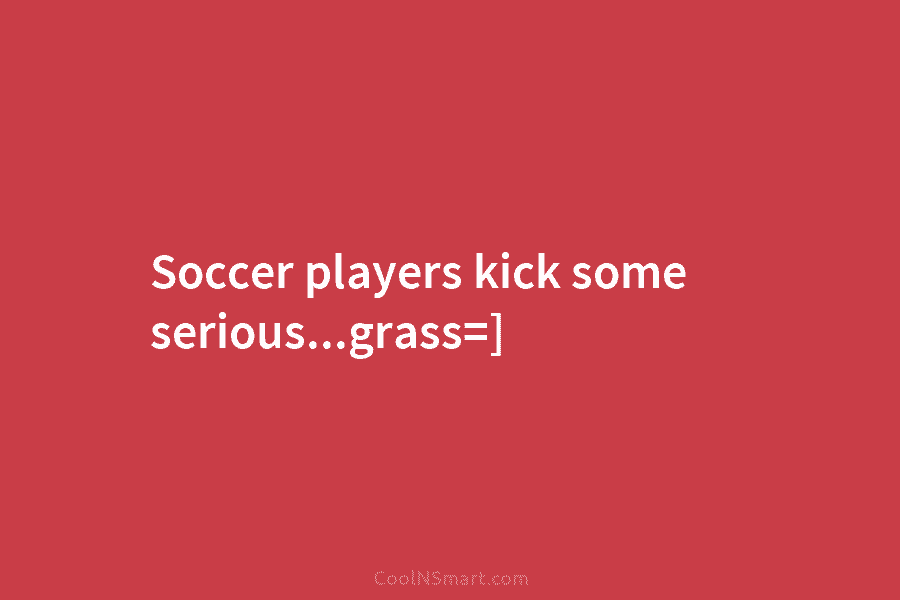 Soccer players kick some serious…grass=]