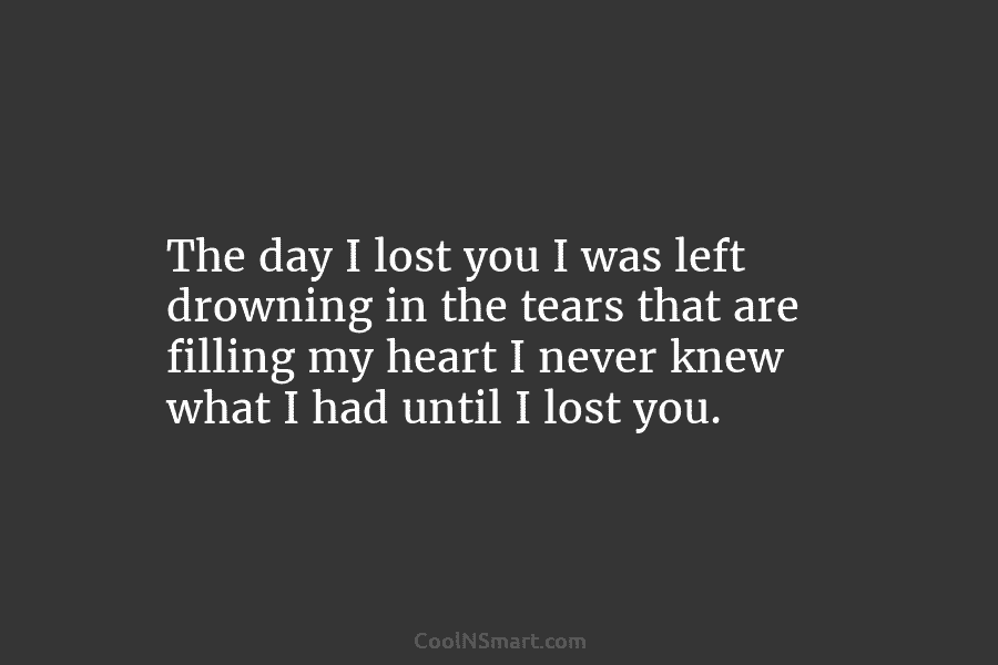 The day I lost you I was left drowning in the tears that are filling my heart I never knew...