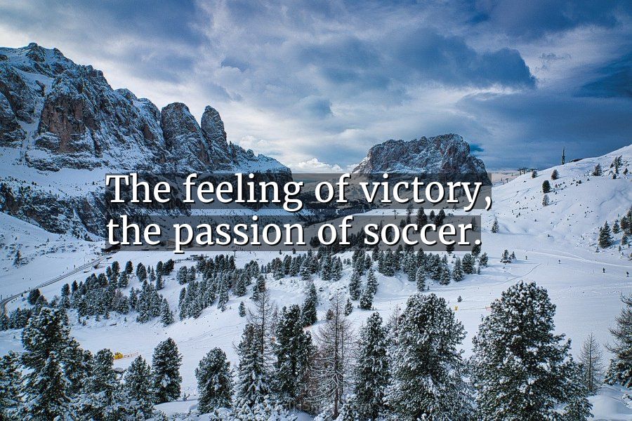 Quote: The feeling of victory, the passion of soccer. - CoolNSmart