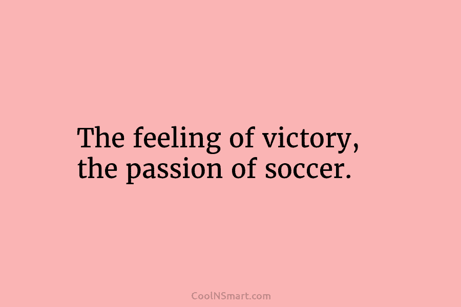 The feeling of victory, the passion of soccer.
