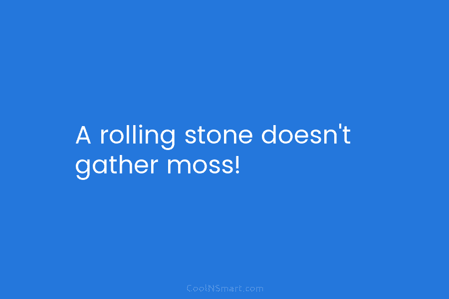 A rolling stone doesn’t gather moss!
