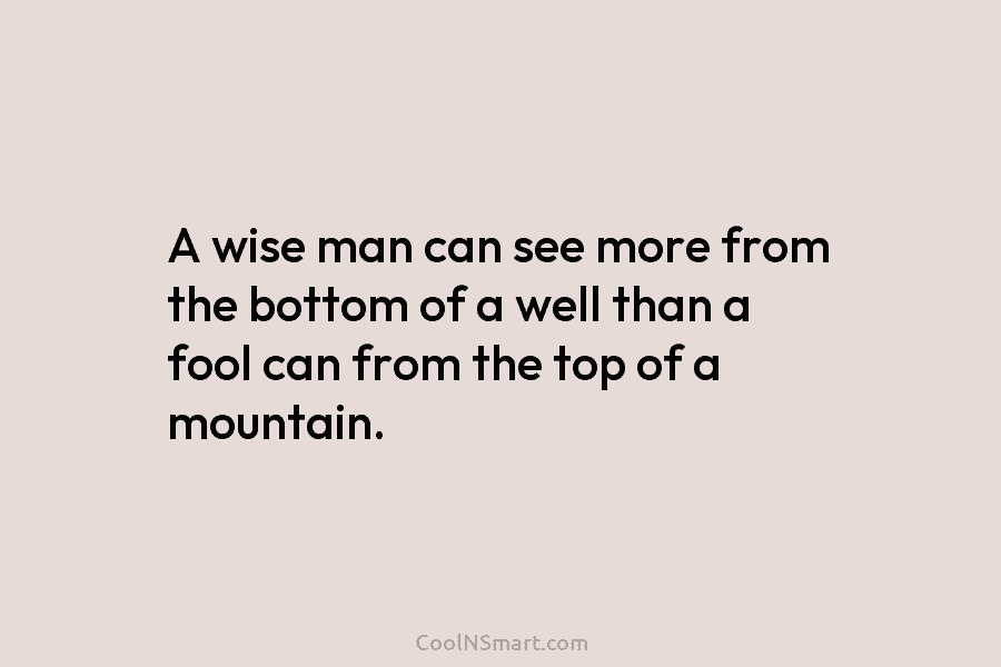A wise man can see more from the bottom of a well than a fool can from the top of...
