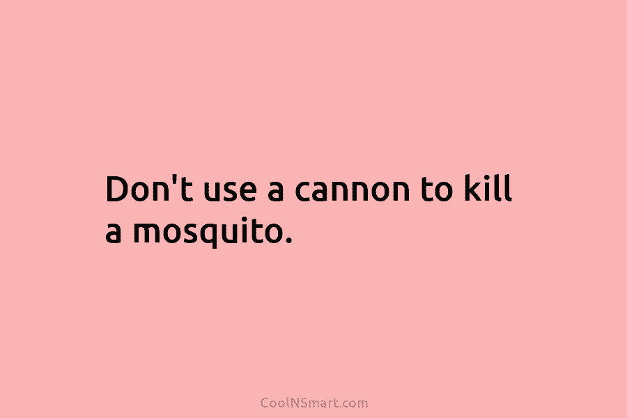 Don’t use a cannon to kill a mosquito.