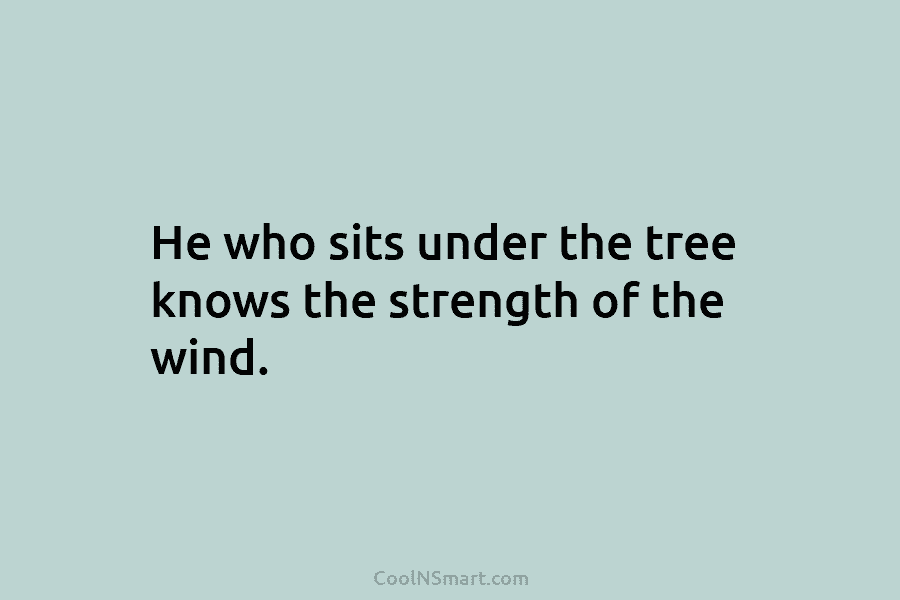 He who sits under the tree knows the strength of the wind.
