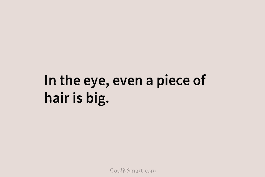 In the eye, even a piece of hair is big.