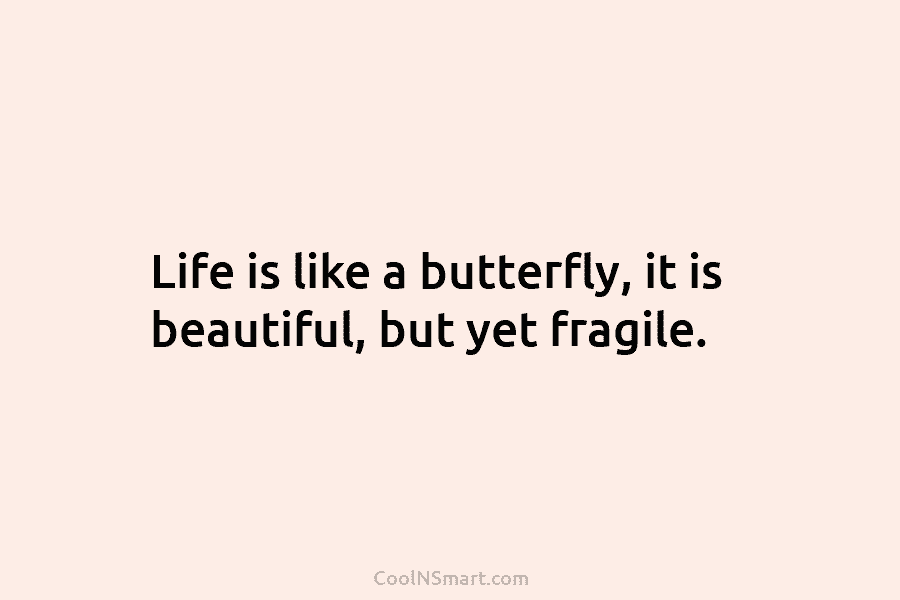 Life is like a butterfly, it is beautiful, but yet fragile.
