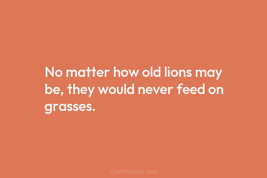 No matter how old lions may be, they would never feed on grasses.