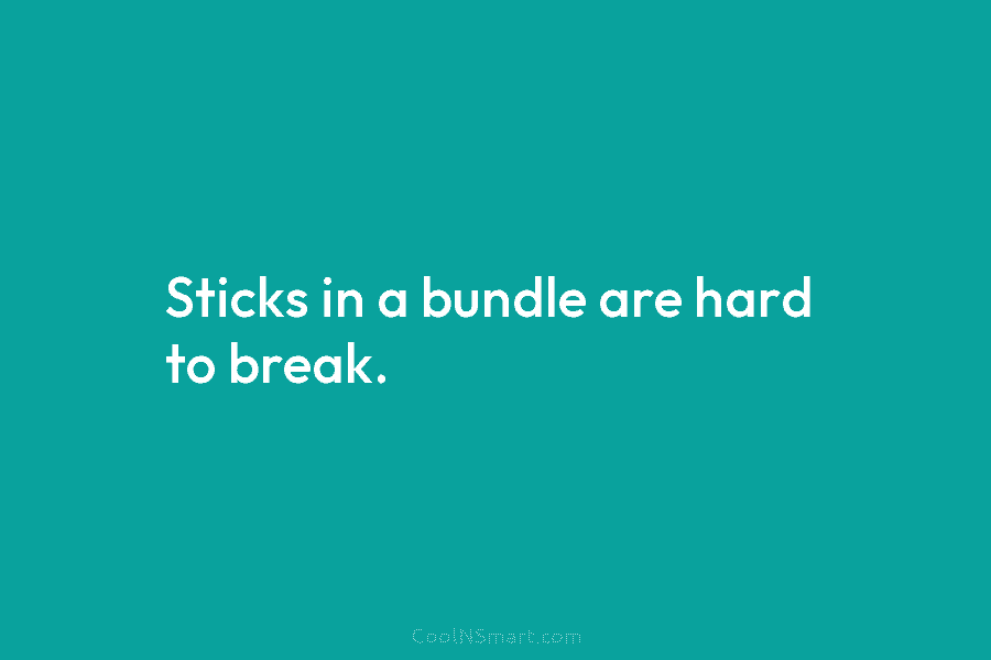Sticks in a bundle are hard to break.