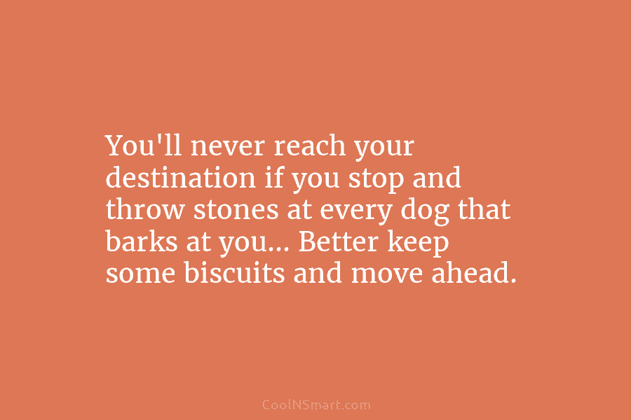 You’ll never reach your destination if you stop and throw stones at every dog that...