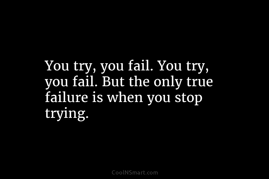 You try, you fail. You try, you fail. But the only true failure is when...